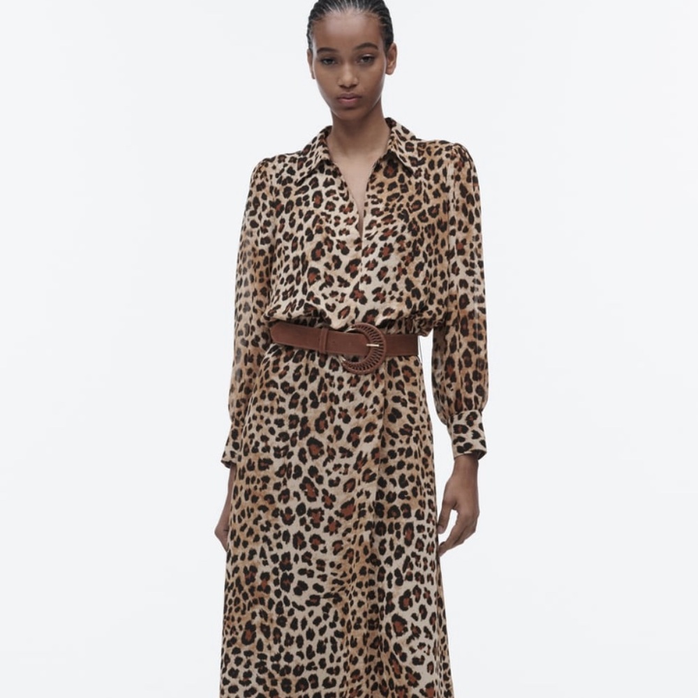 Zara Leopard Dress - Medium